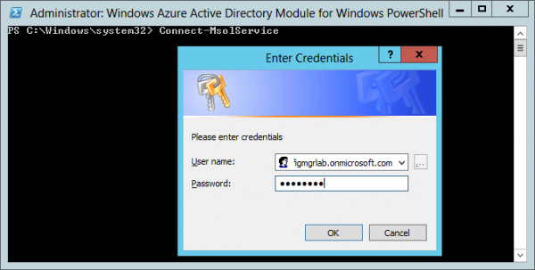 Logon to the Windows Azure Active Directory